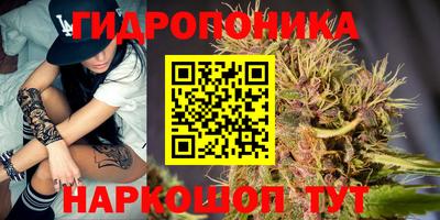 индика Рыбинск