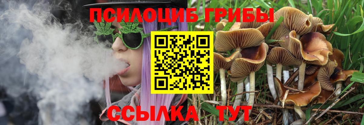 Меф кристаллы  МЕТАМФЕТАМИН  Гашиш  Бошки Шишки  Пушкино  Вход с VPN  ГАШИШ  МАРИХУАНА  Кокаин 