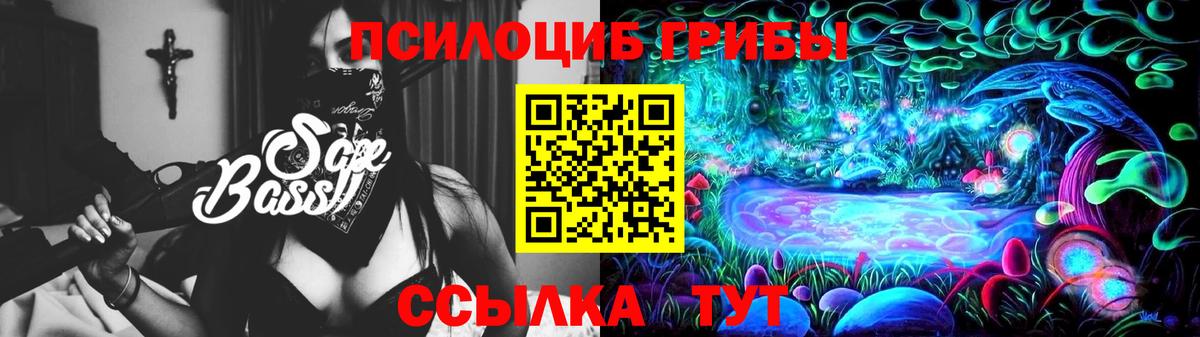 Галлюциногенные грибы мицелий Пушкино