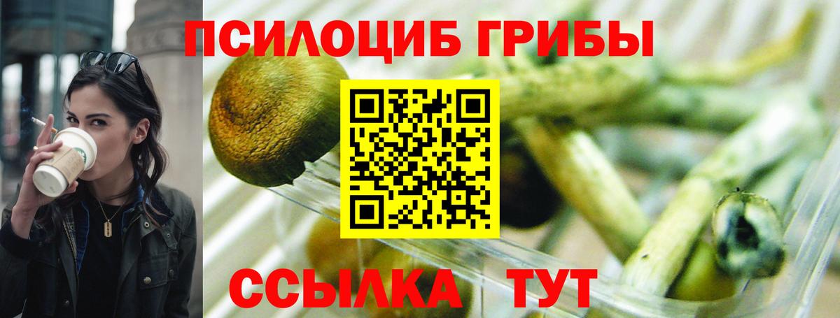 Галлюциногенные грибы ЛСД  Вход с VPN  Пушкино 